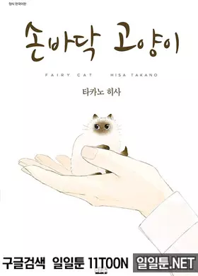 손바닥 고양이