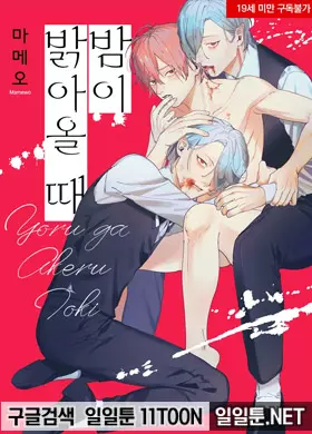 밤이 밝아올 때