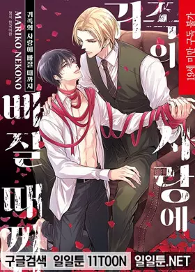 귀족의 사랑에 빠질 때까지