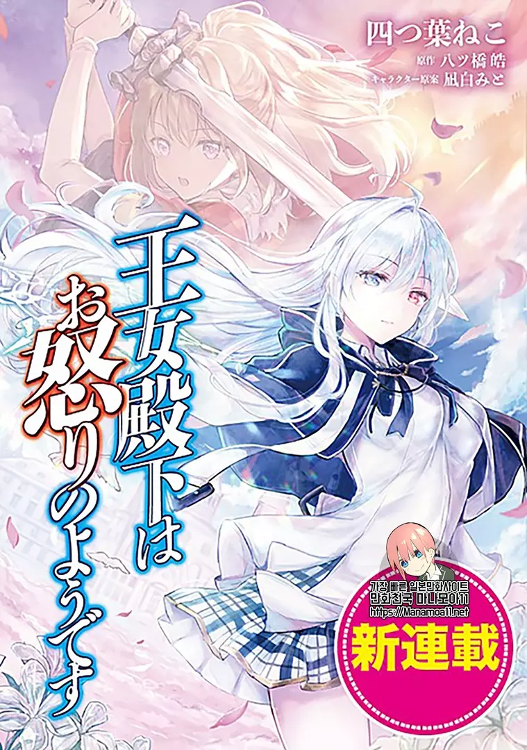 왕녀 전하께서는 분노하신 것 같습니다