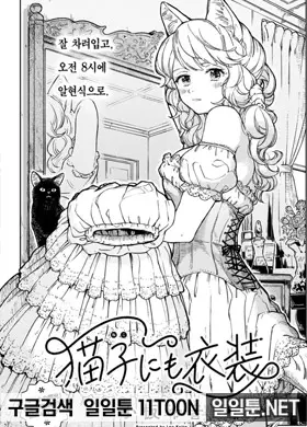 고양이에게도 의상