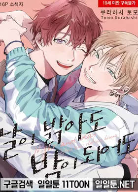 날이 밝아도 밤이 되어도