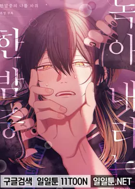 한밤중의 나를 봐줘