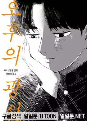 오후의 광선