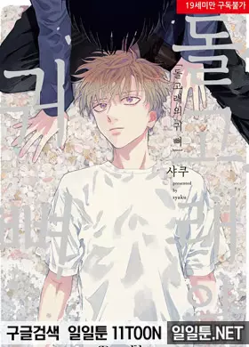 돌고래의 귀 뼈