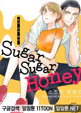 Sugar Sugar Honey(슈가 슈가 허니)