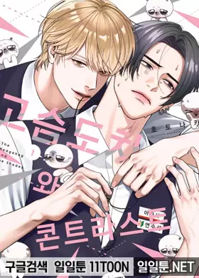 고슴도치와 콘트라스트