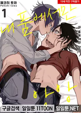 내 품에서만 앙앙