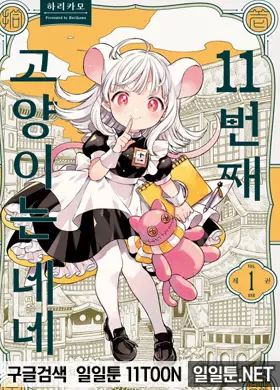 11번째 고양이는 네네