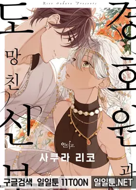 경호원과 도망친 신부