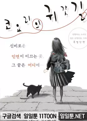 코요리의 귀갓길