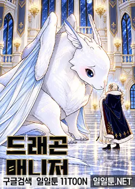 드래곤 매니저